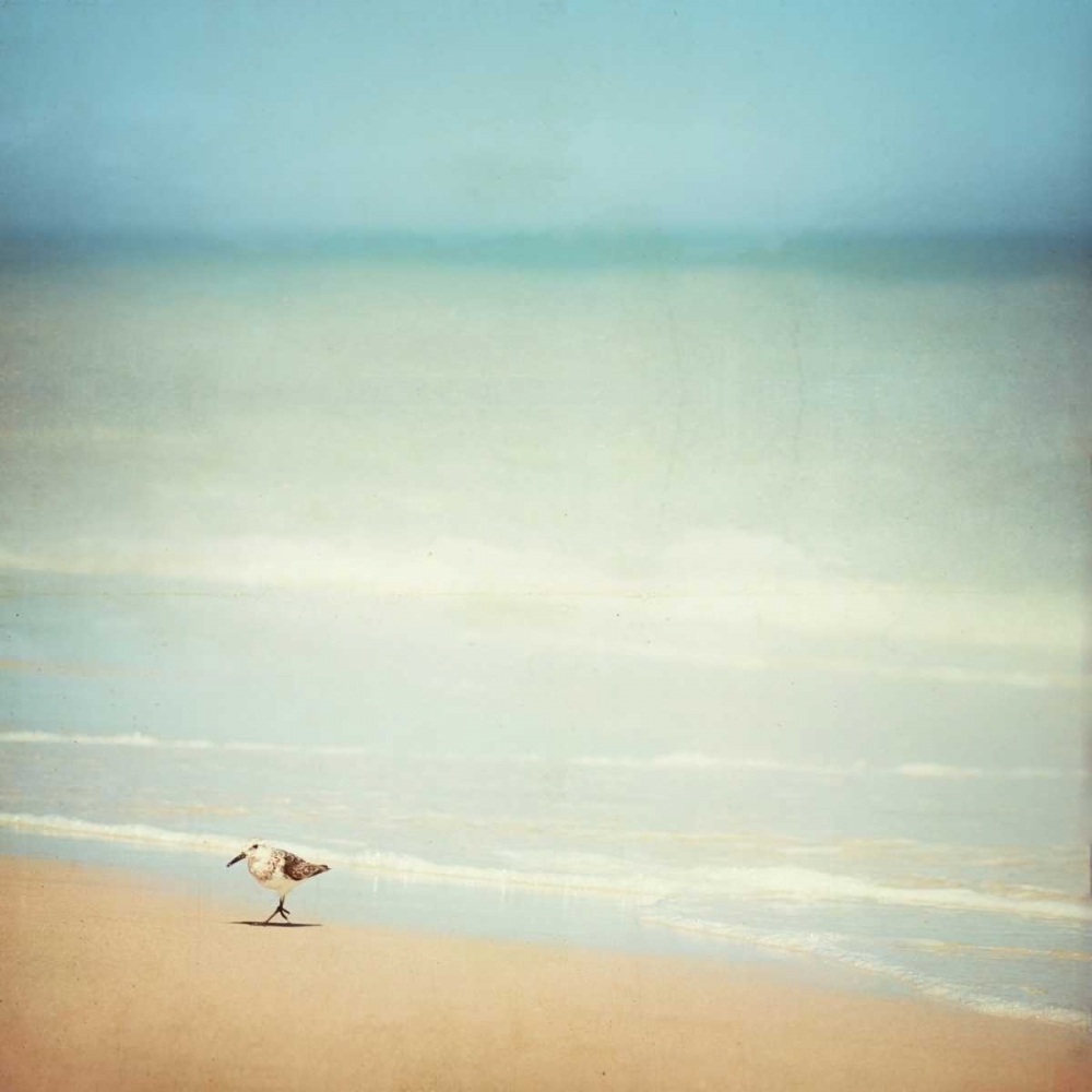 Wall Art Painting id:13683, Name: Get Your Feet Wet, Artist: Cochrane, Carolyn