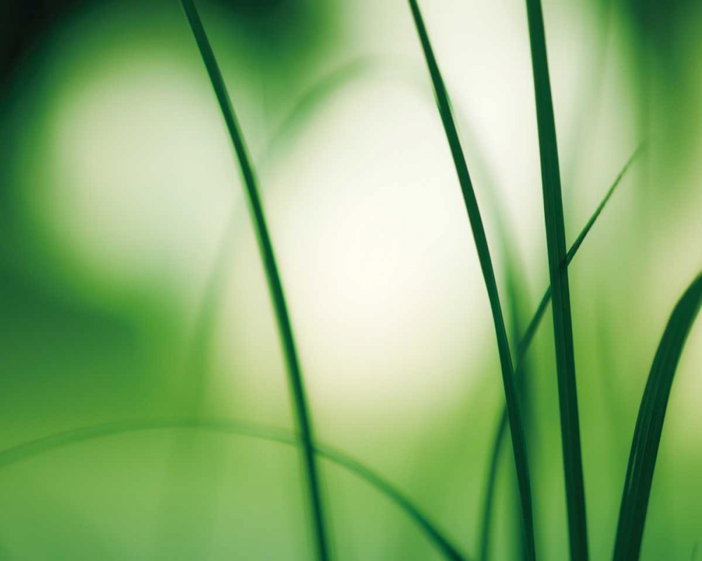 Similar wall art painting: 13690