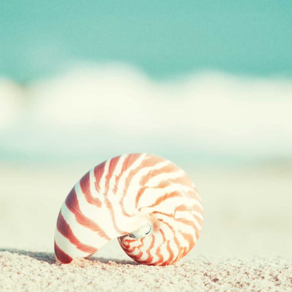 Similar wall art painting: 13692