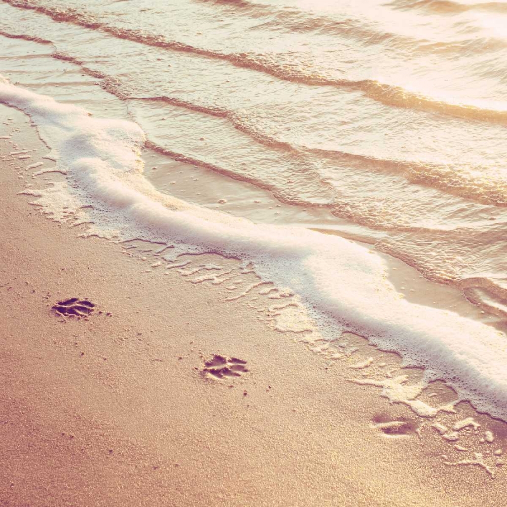 Similar wall art painting: 13696