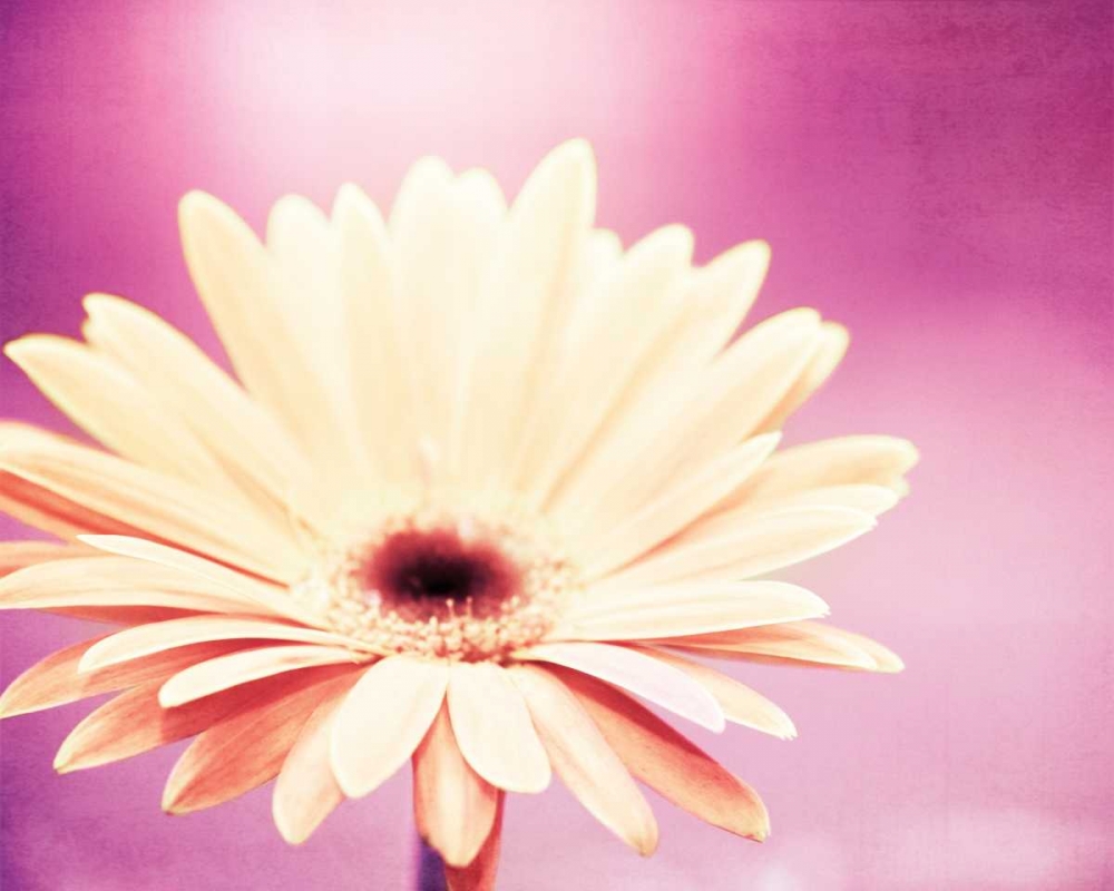 Similar wall art painting: 13697