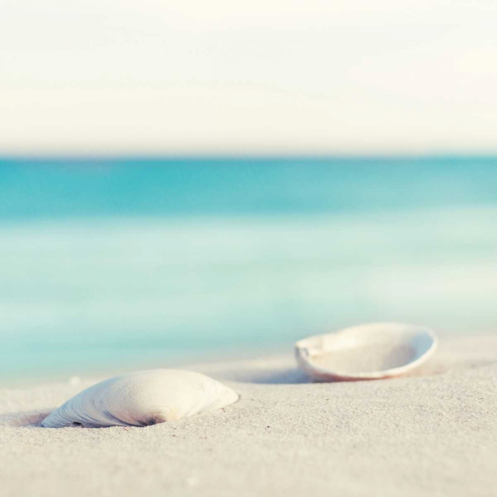 Similar wall art painting: 13703