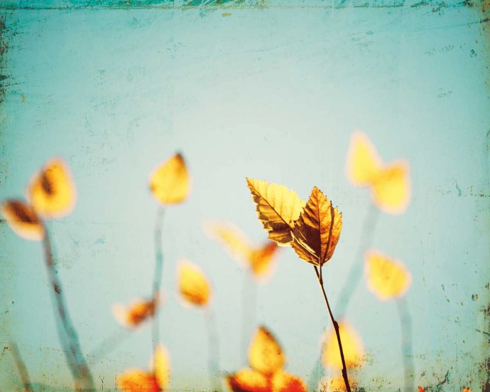 Similar wall art painting: 13709