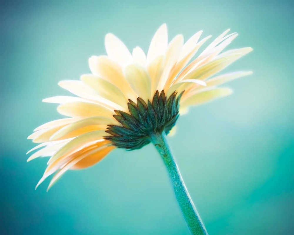 Similar wall art painting: 13714