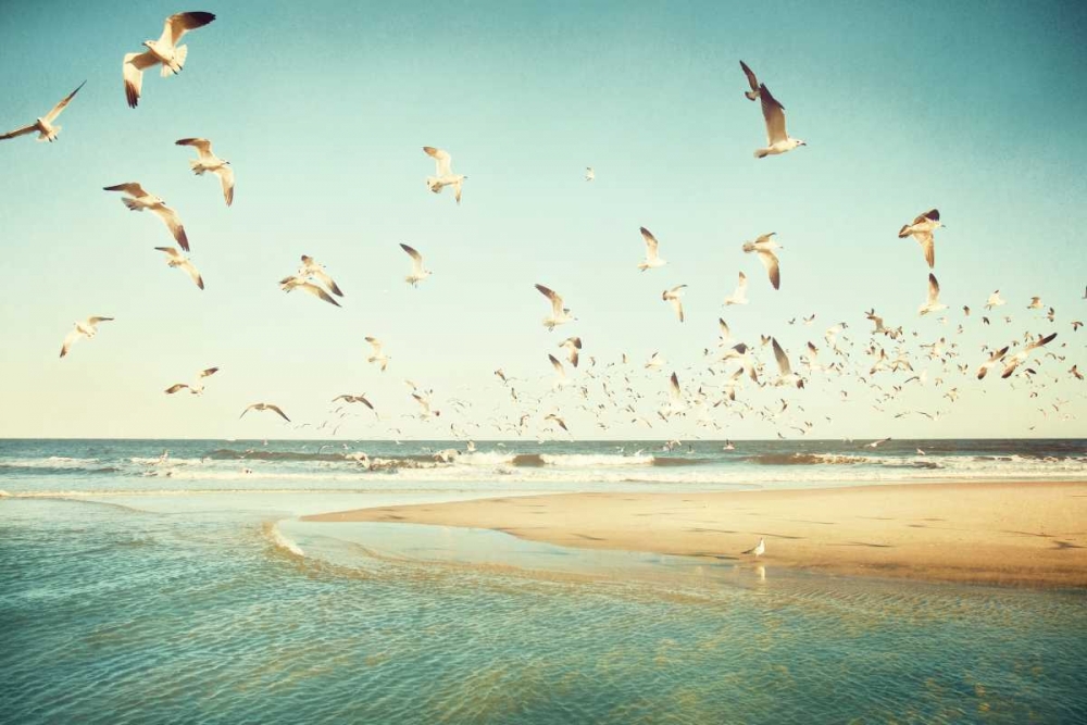 Wall art: Freedom, by Cochrane, Carolyn