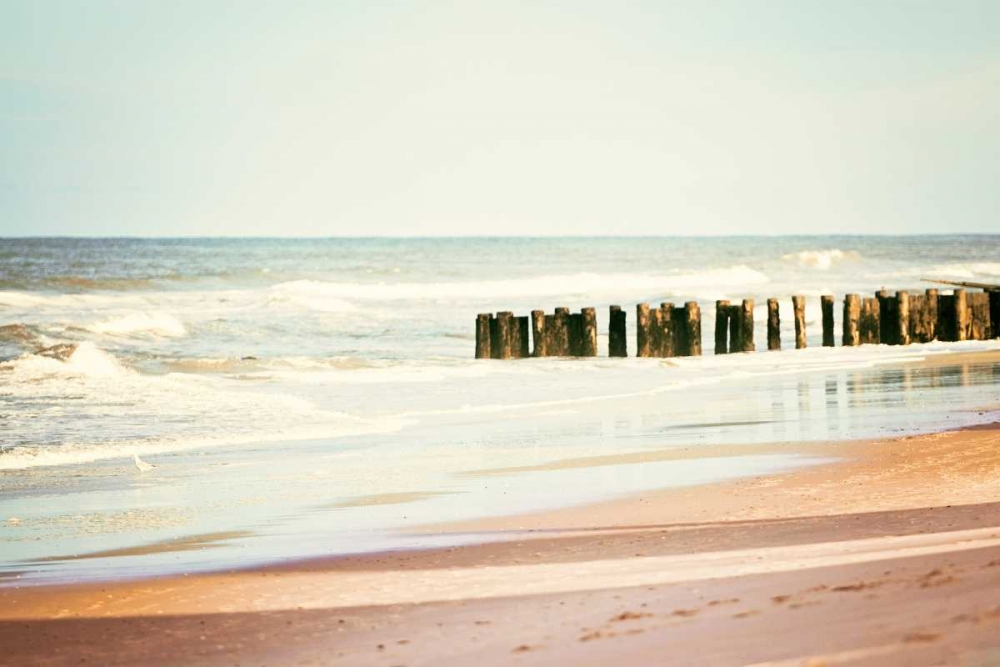 Wall Art Painting id:32773, Name: Shore Days, Artist: Cochrane, Carolyn