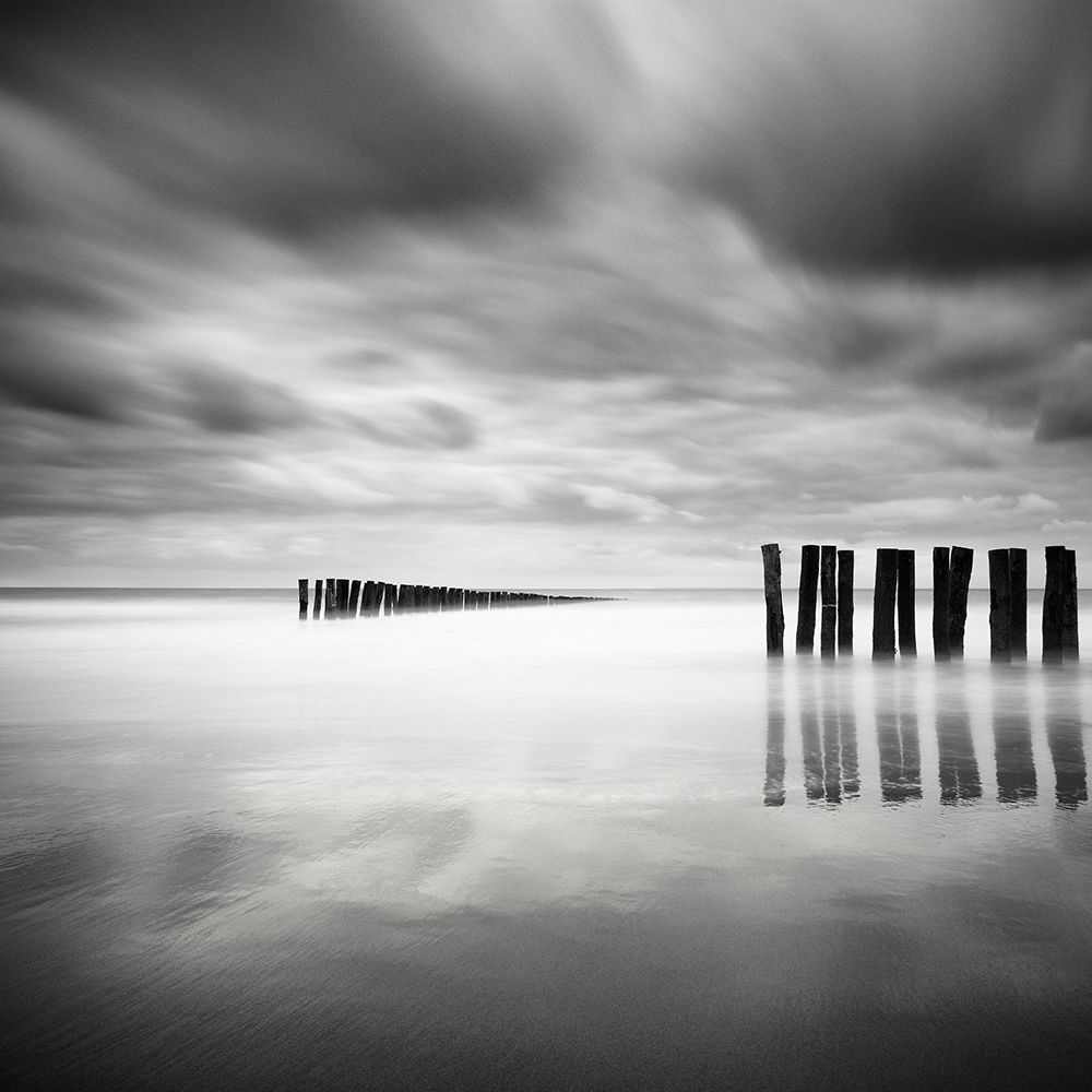 Art Print: The Gathering