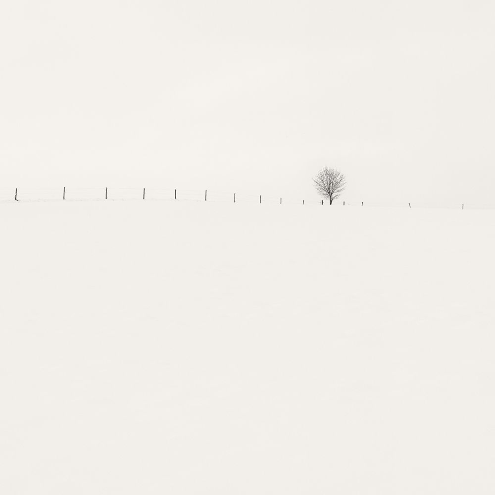 Art Print: Frozen Landscape