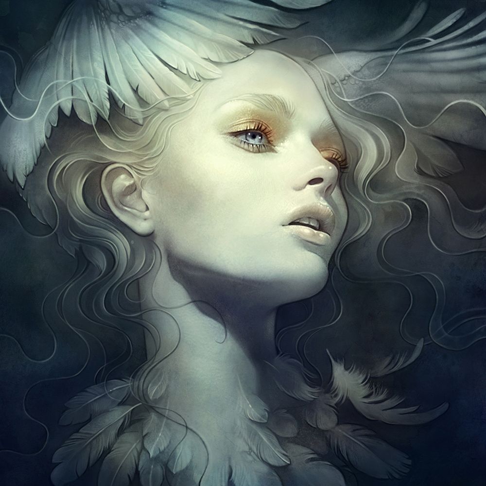 Wall art: Fly, by Dittman, Anna