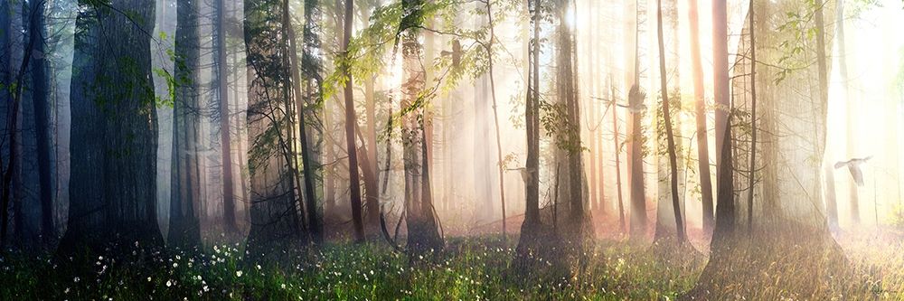 Wall art: Constancy, by Decker, Cynthia