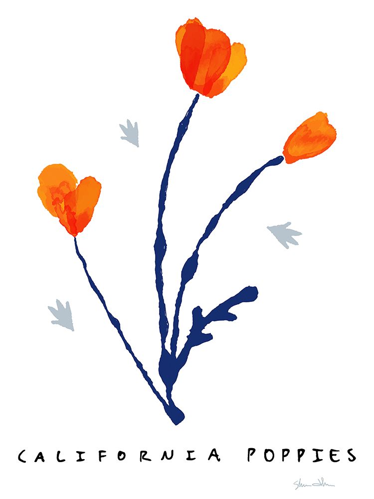 Wall Art Painting id:488903, Name: California Poppies, Artist: Donahue, Shane