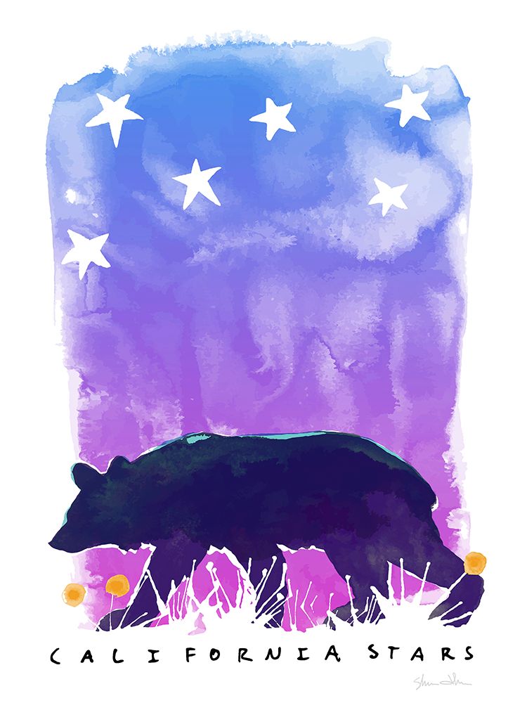 Wall Art Painting id:488904, Name: California Stars, Artist: Donahue, Shane