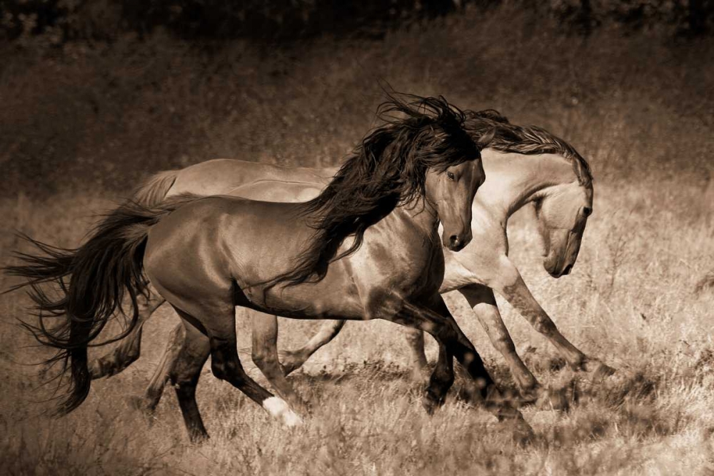 Wall Art Painting id:14845, Name: The Dance, Artist: Dearing, Lisa