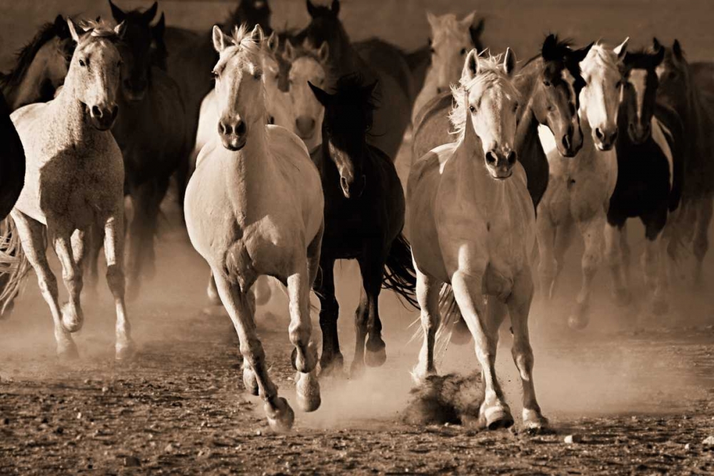 Wall art: About Face, by Dearing, Lisa