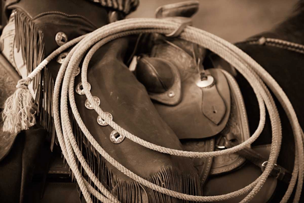 Wall Art Painting id:14839, Name: Cowgirls Lasso, Artist: Dearing, Lisa