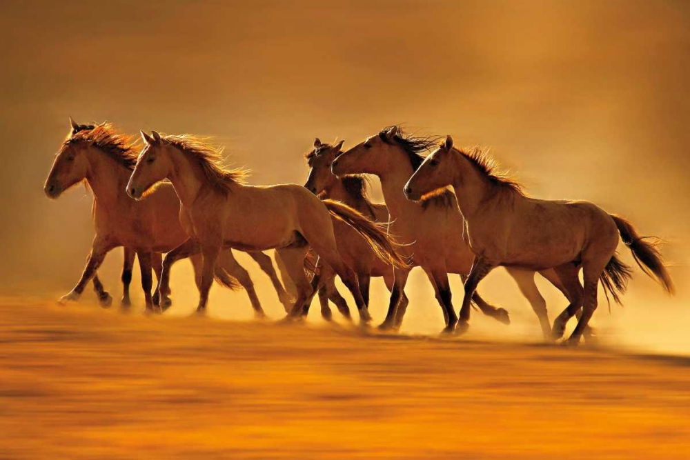 Similar wall art painting: 14843