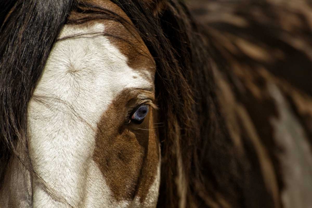 Wall Art Painting id:32797, Name: Blue, Artist: Dearing, Lisa