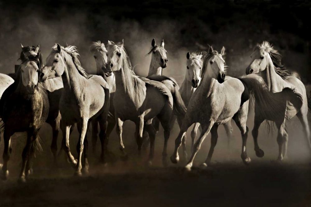 Wall Art Painting id:32798, Name: Dream Horses, Artist: Dearing, Lisa