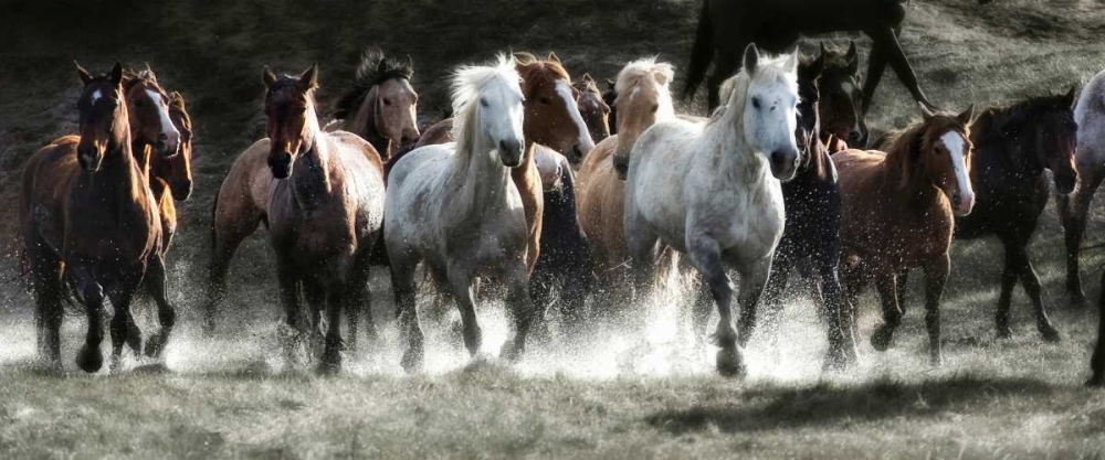 Similar wall art painting: 32799