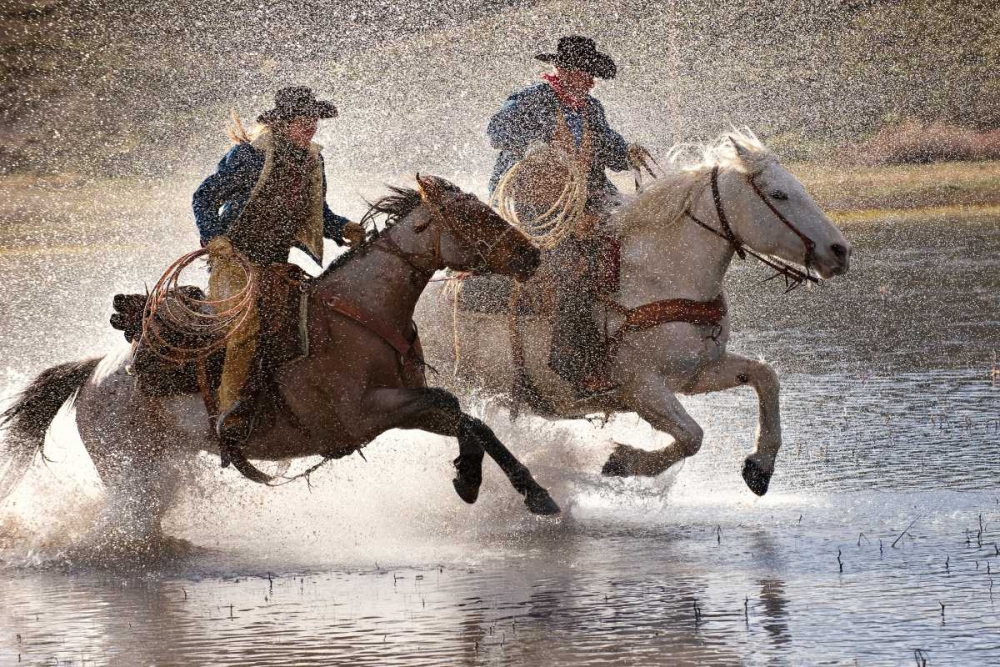 Wall Art Painting id:32800, Name: Splash Dance, Artist: Dearing, Lisa