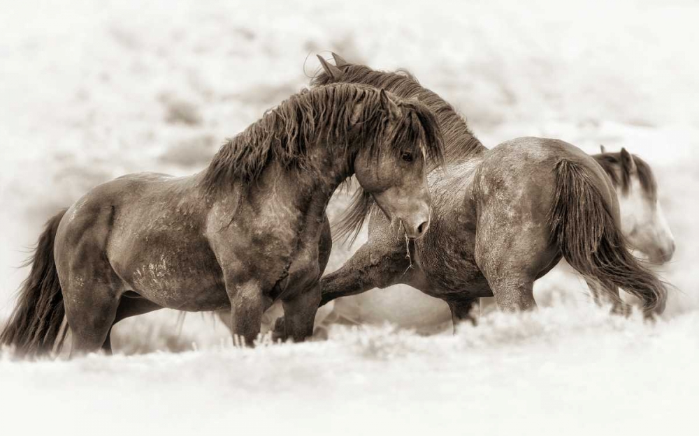 Similar wall art painting: 82634