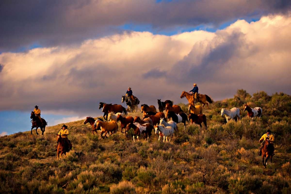 Wall Art Painting id:82636, Name: Chasing Thunder, Artist: Dearing, Lisa