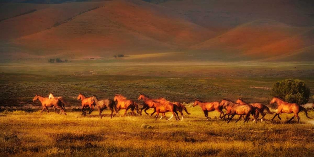 Wall Art Painting id:82640, Name: Montana Dreaming, Artist: Dearing, Lisa