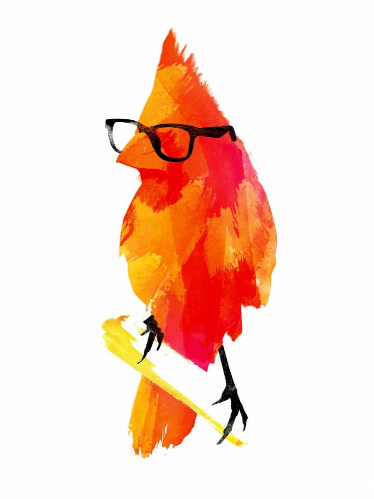 Wall Art Painting id:32848, Name: Punk Bird, Artist: Farkas, Robert