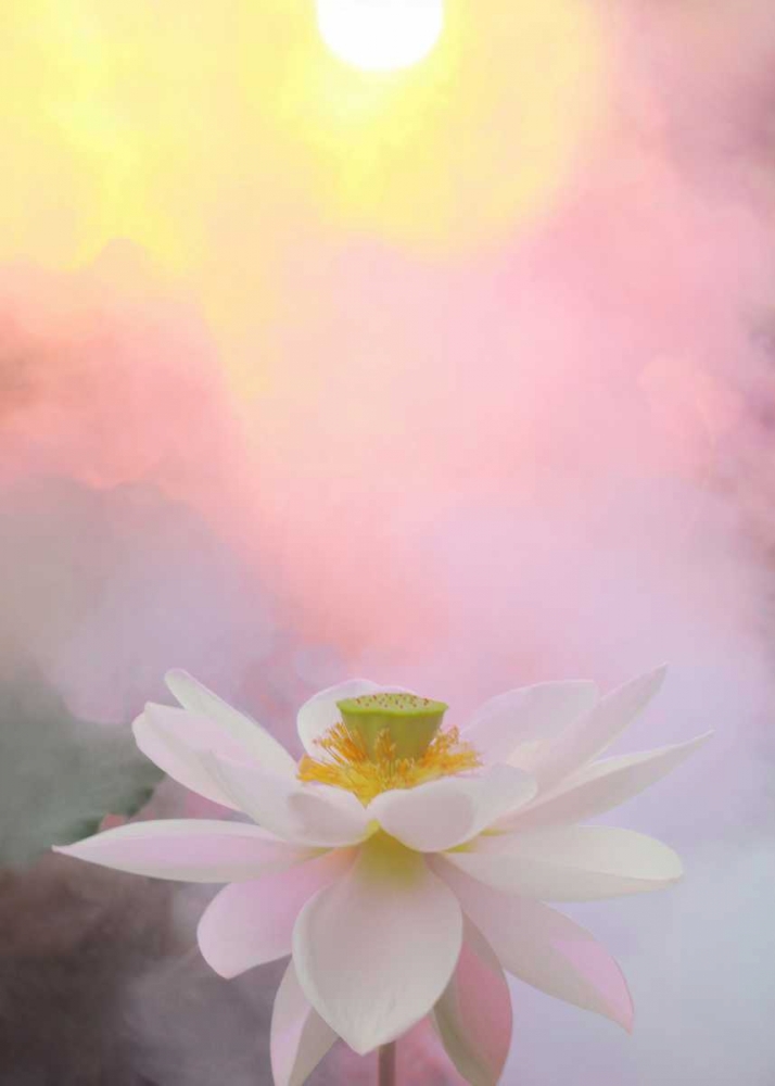 Wall Art Painting id:65479, Name: Beauty at Dawn, Artist: Farzad, Bahman