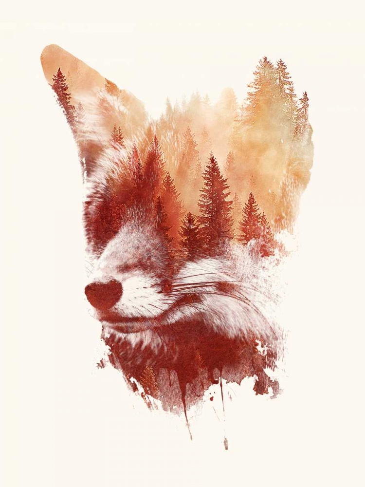 Wall Art Painting id:74632, Name: Blind Fox, Artist: Farkas, Robert