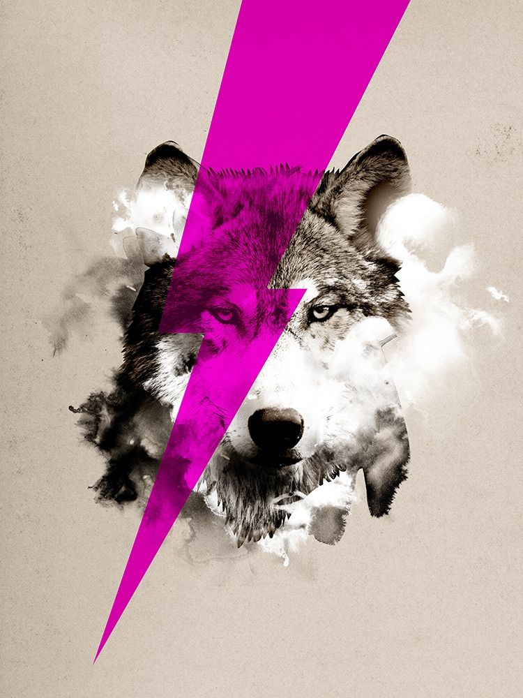 Wall art: Wolf Rocks, by Farkas, Robert