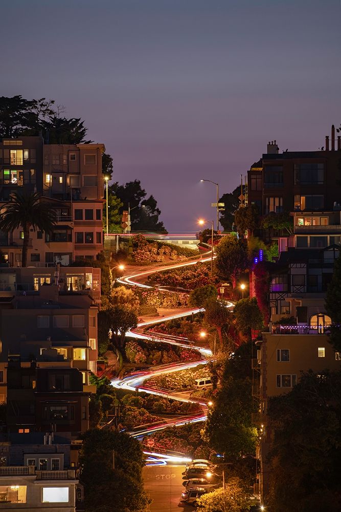 Art Print: Lombard Street 2