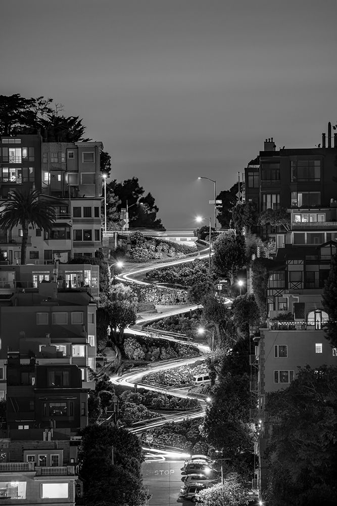 Art Print: Lombard Street BW