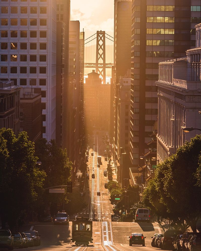 Art Print: Morning Trolley 2