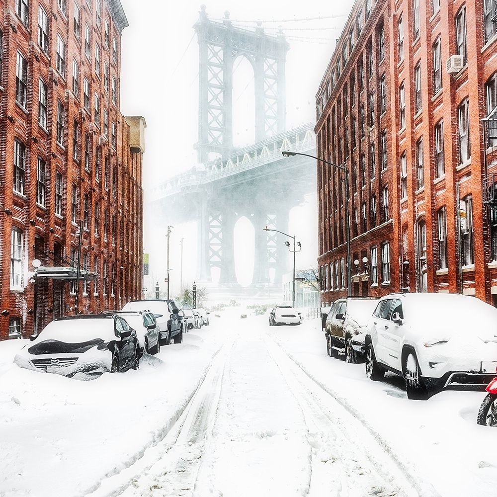 Wall art: The New York Blizzard 2, by Getty, Bruce