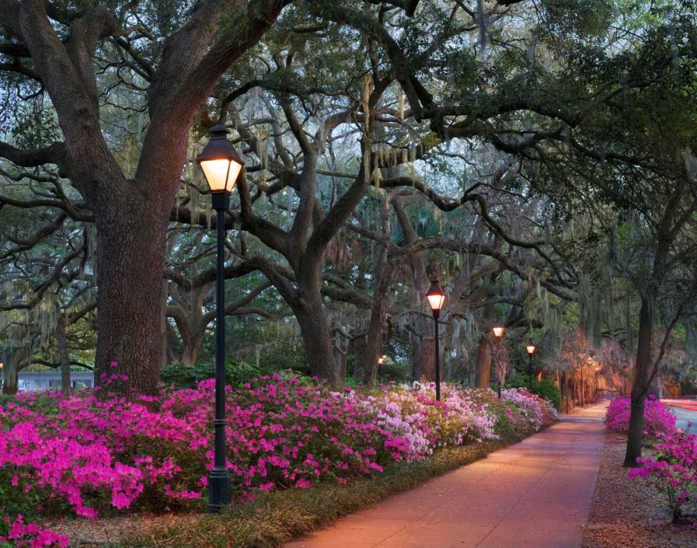 Art Print: Forsythe Park