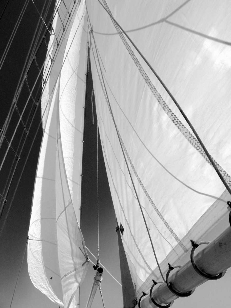 Art Print: Sailboat Sails Florida