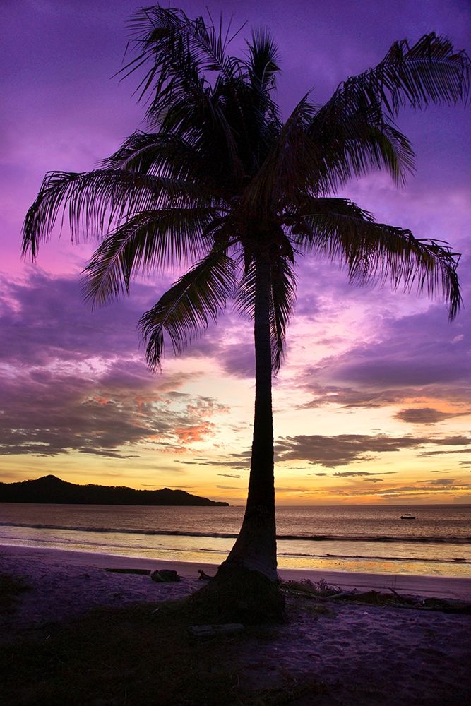 Art Print: Brasalito Bay, Costa Rica