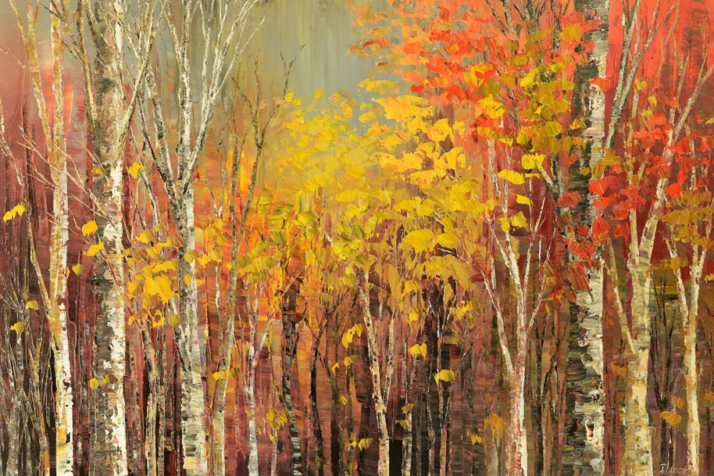 Wall art: Tangled Colors, by Iliina, Tatiana