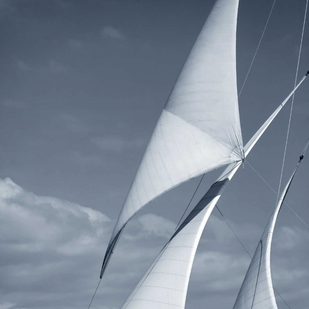 Art Print: Sails