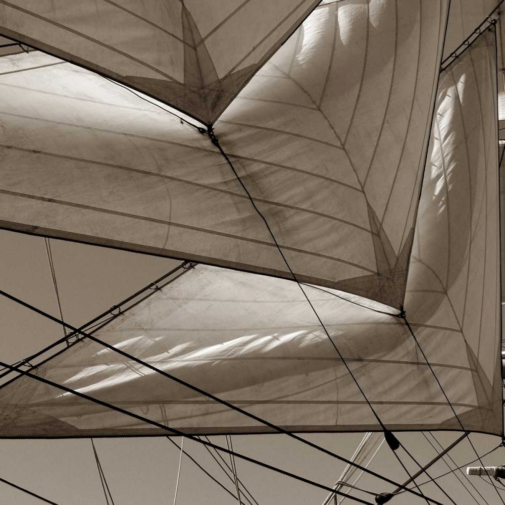 Art Print: Sails