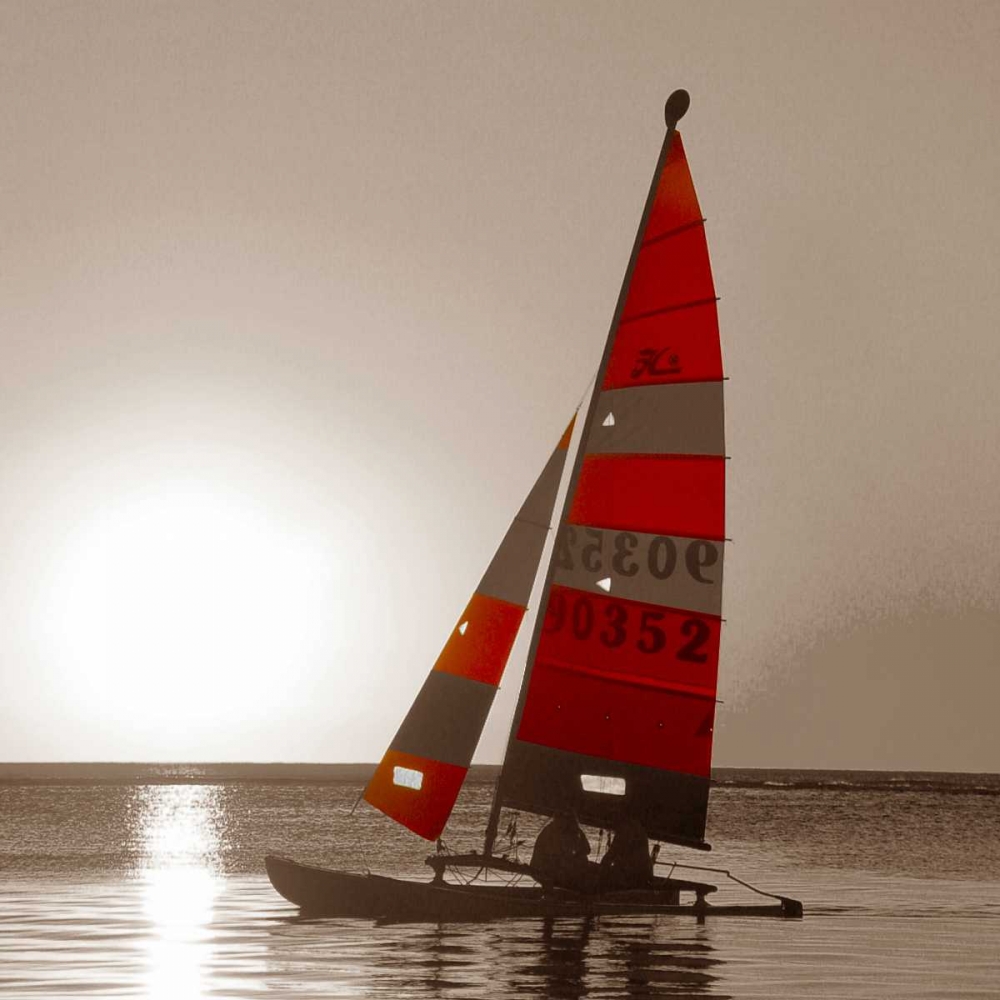 Art Print: Sailboat Sunset