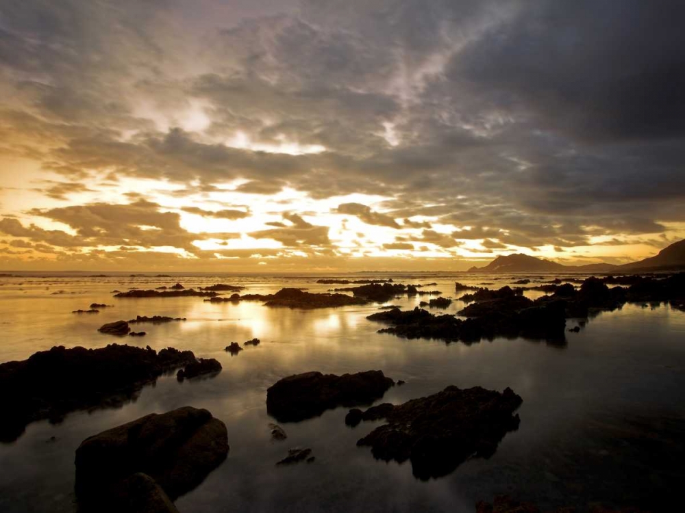 Similar wall art painting: 140096