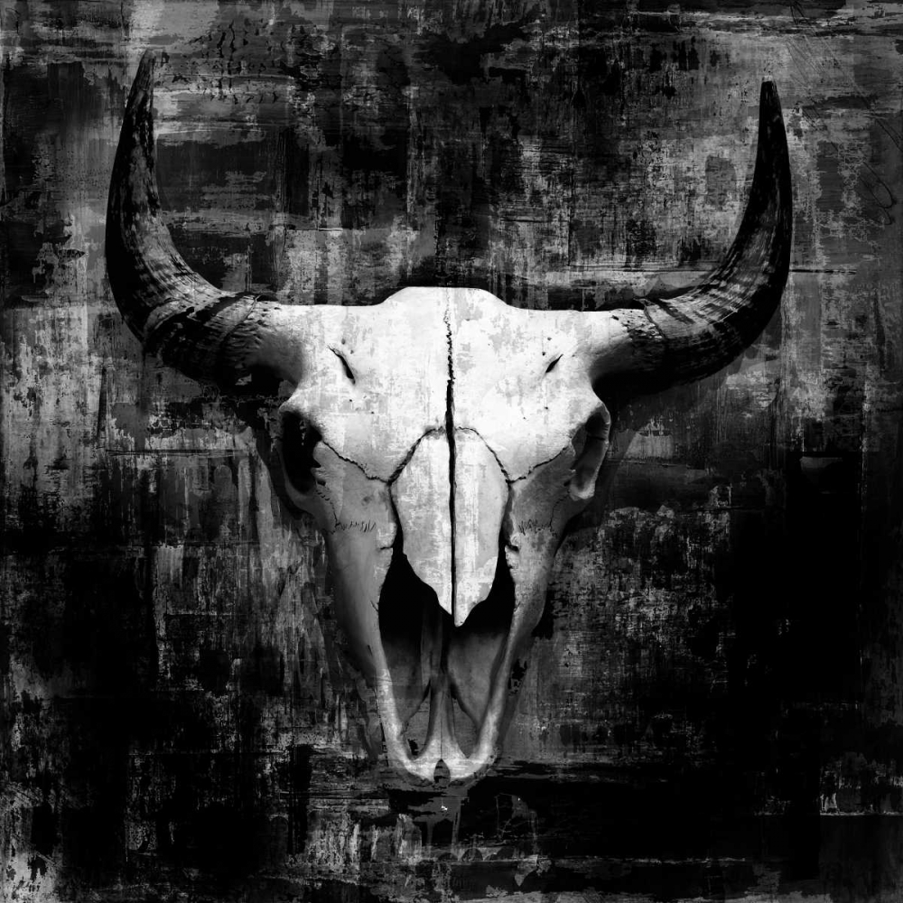 Wall Art Painting id:139852, Name: Black Cowskull, Artist: GraphINC