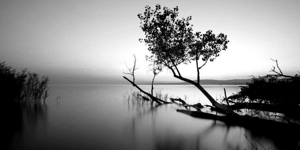 Wall art: Great Lake, by PhotoINC Studio