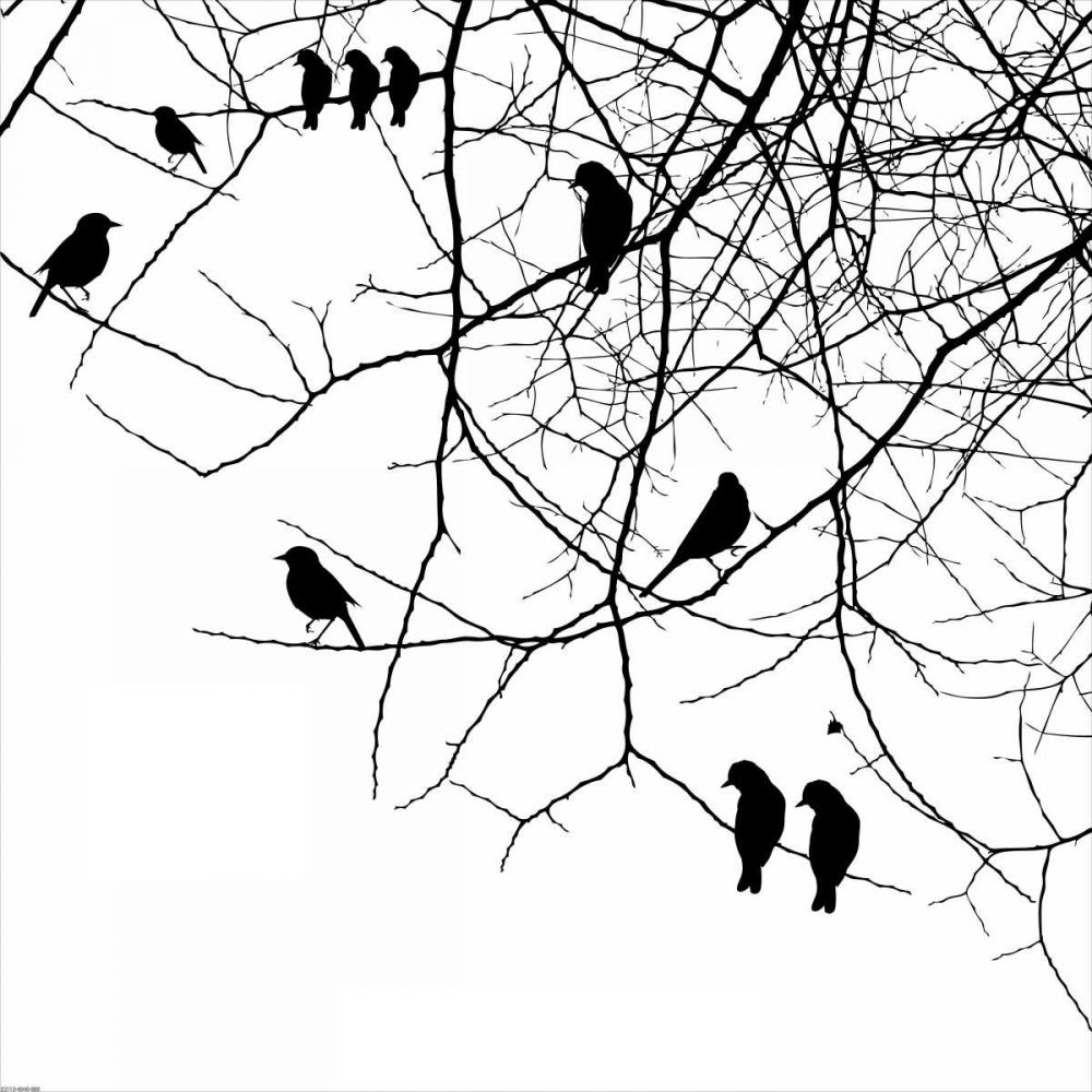 Wall Art Painting id:139850, Name: Bird II, Artist: GraphINC