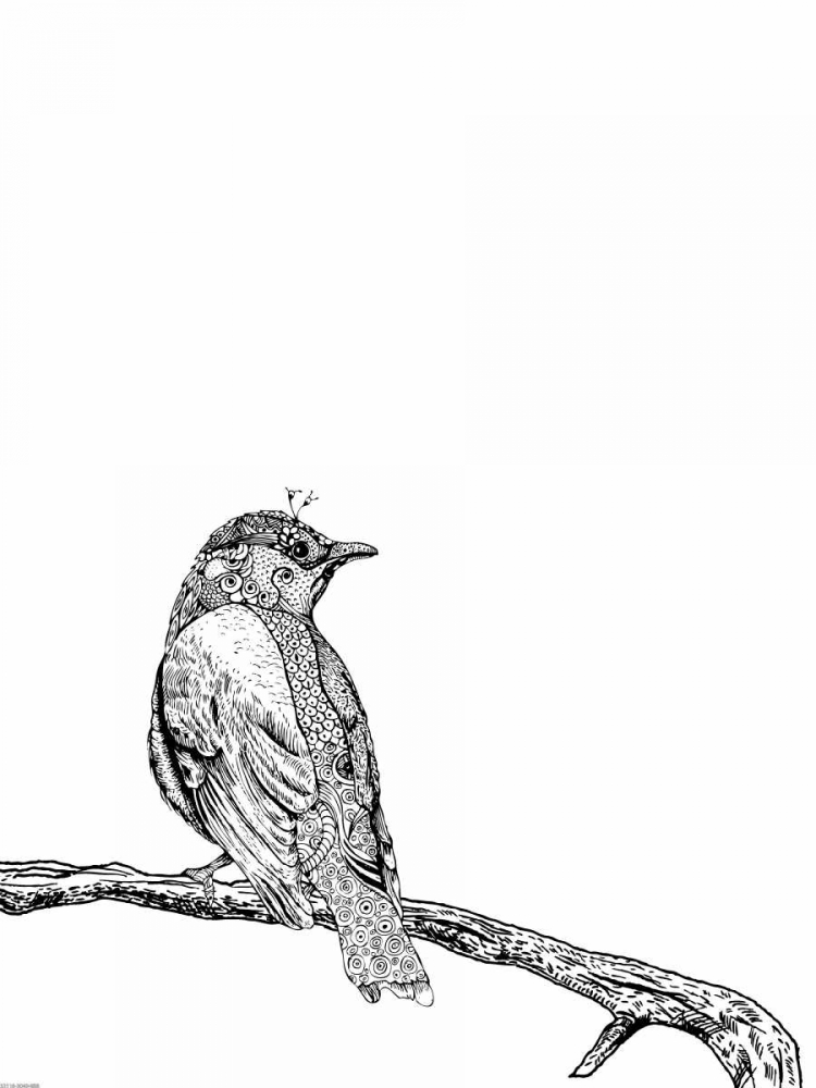 Wall Art Painting id:139851, Name: Bird III, Artist: GraphINC