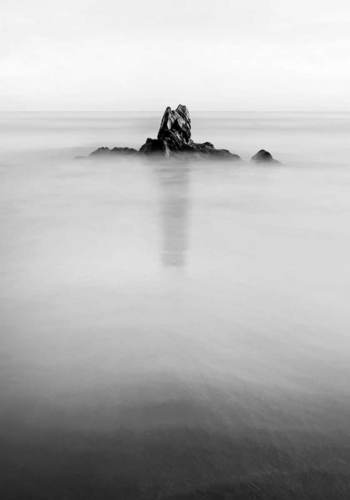 Art Print: In the mist