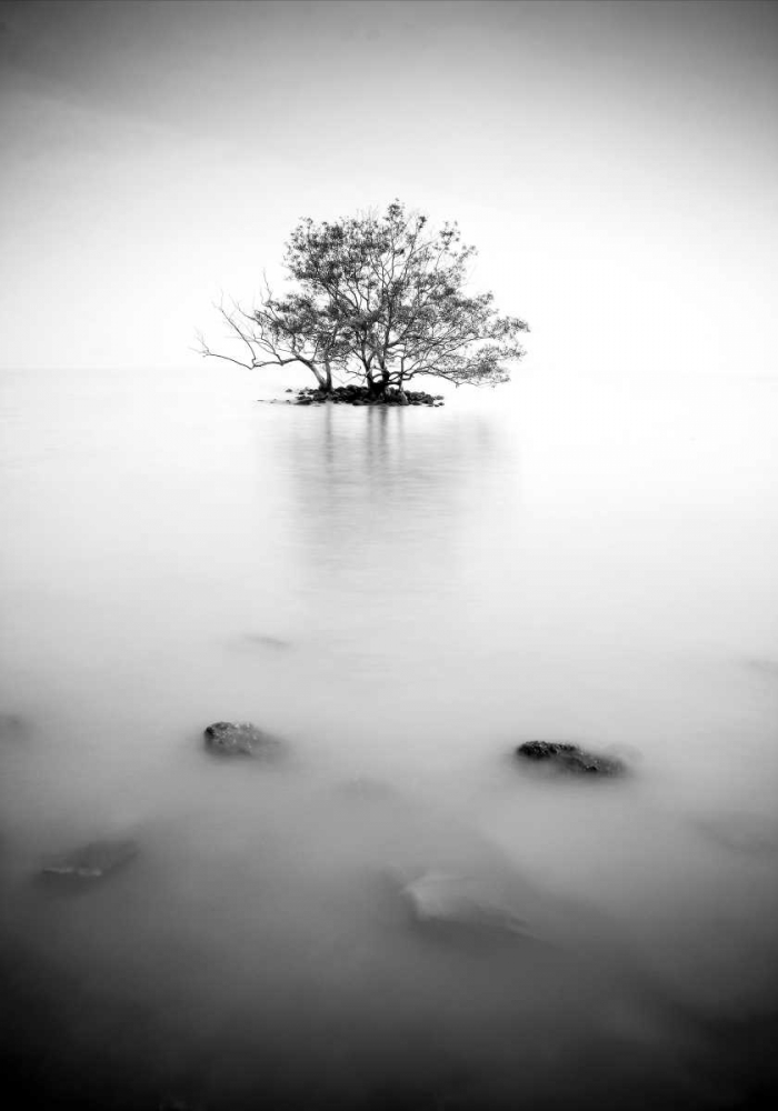 Wall art: In the mist, by PhotoINC Studio