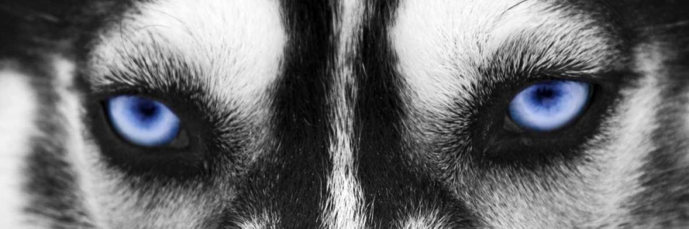 Similar wall art painting: 140135